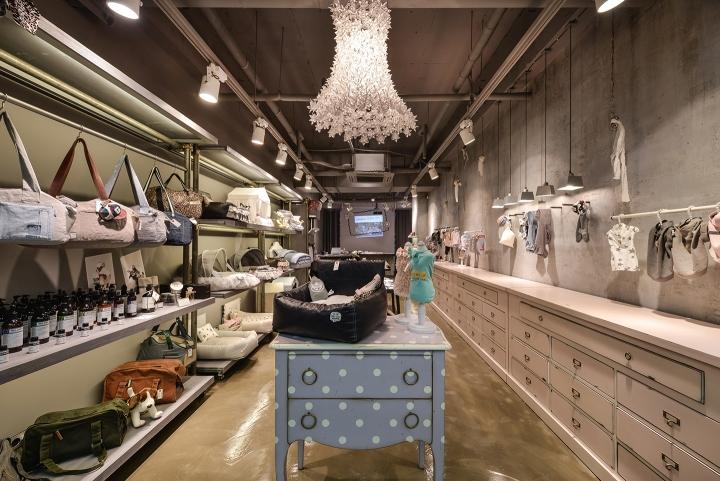 Designing Delightful Pet Gear: Your Guide to Creative Accessories